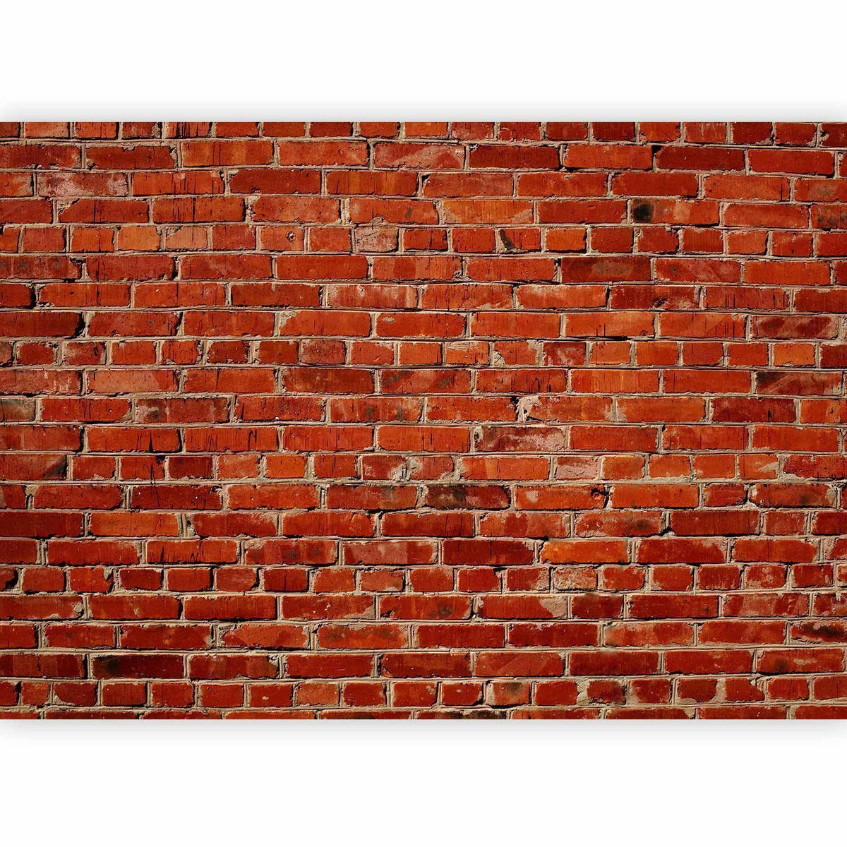 Fototapete Backsteinwand – Rote Ziegelwand im Industrial Loft Stil
