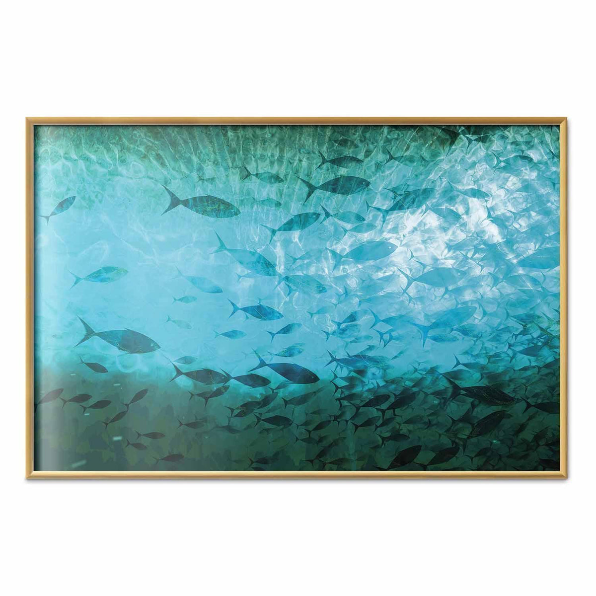 Poster - Group of Dark Fish