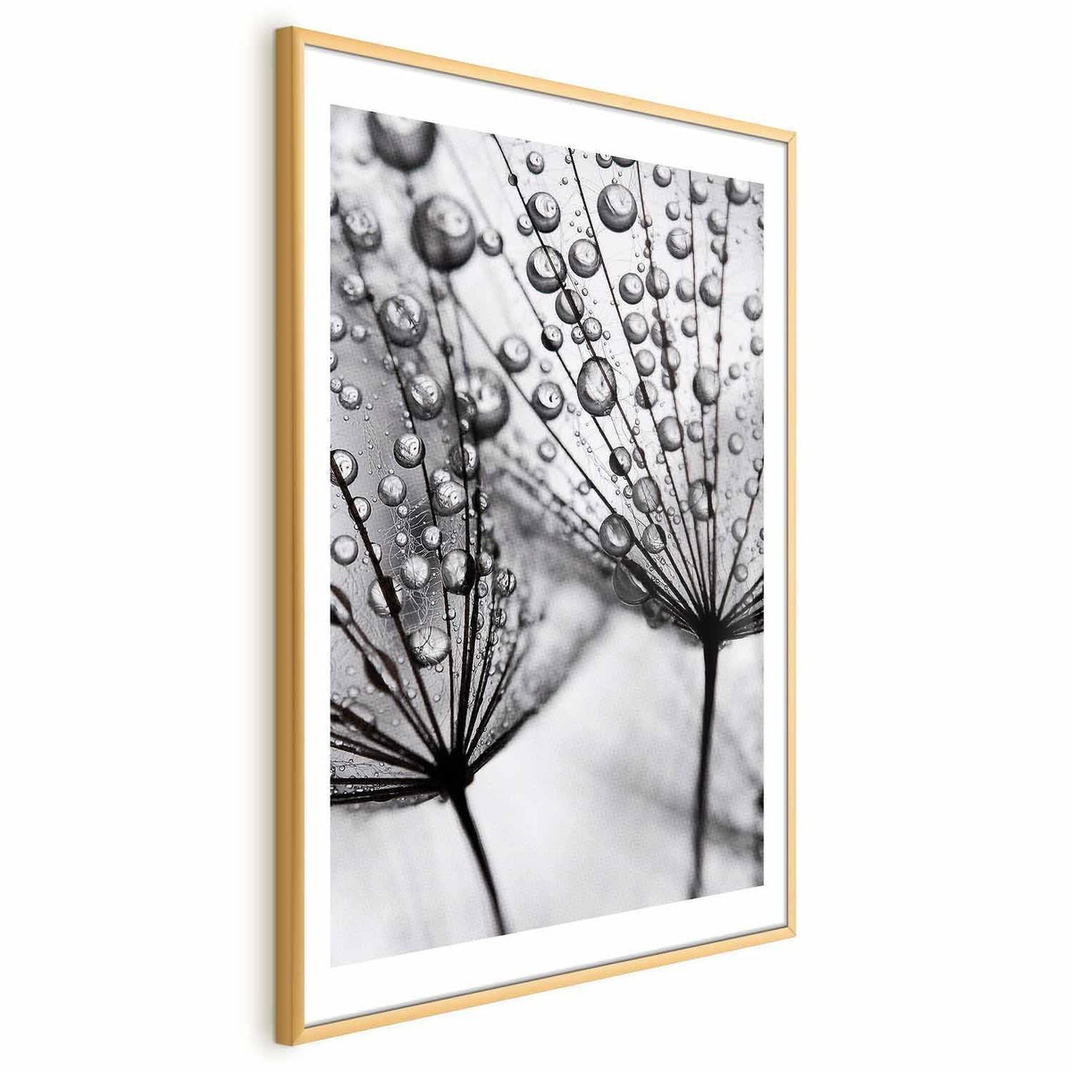 Poster - Macro Dew