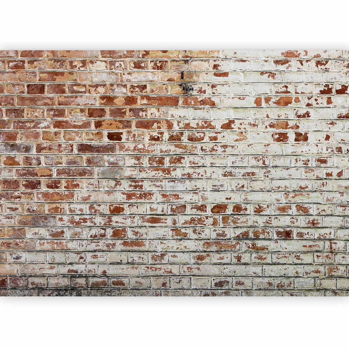Fototapete - Walls of Memory