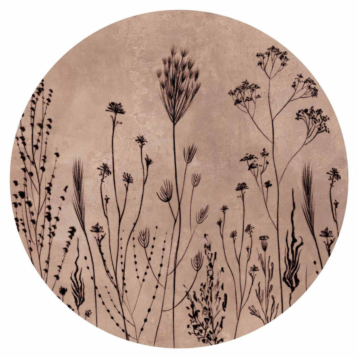 Runde Fototapete - Wildflowers – black plants on lime-wash background