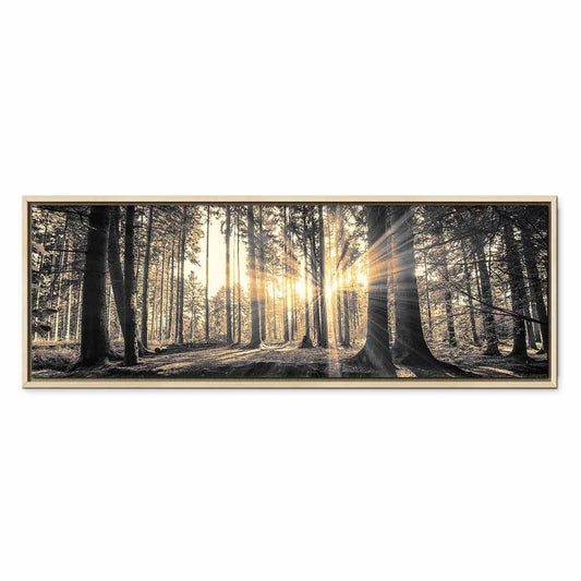 Leinwandbild - Forest Sun