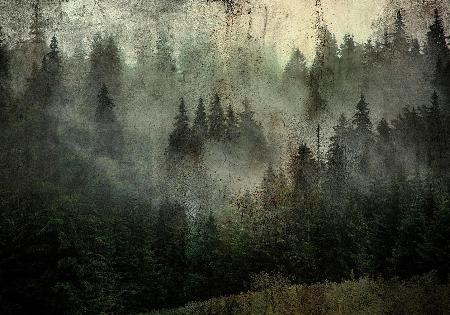 Fototapete - Neblige Schönheit des Waldes Artgeist