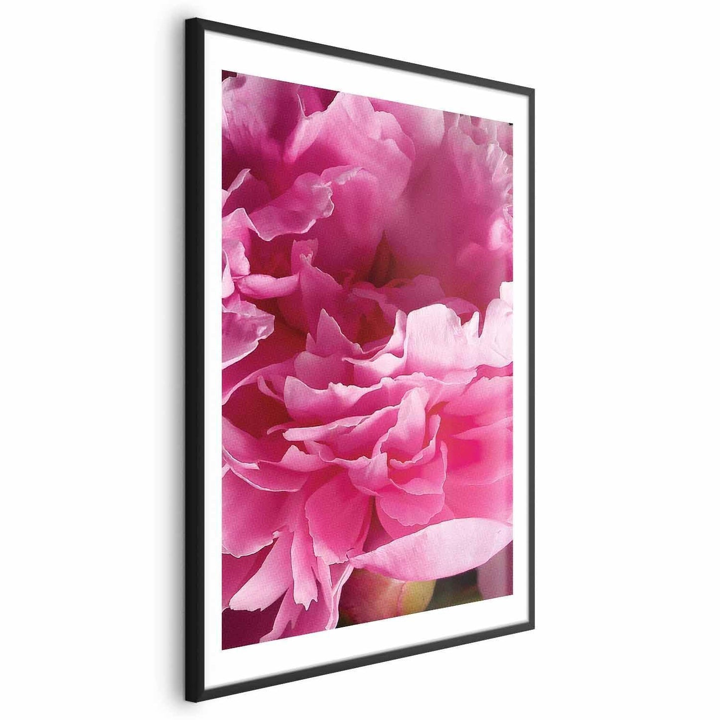 Poster - Beautiful Peonies Artgeist