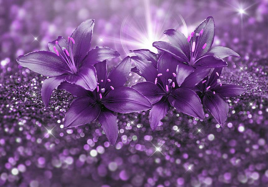 Fototapete - Masterpiece of Purple Artgeist