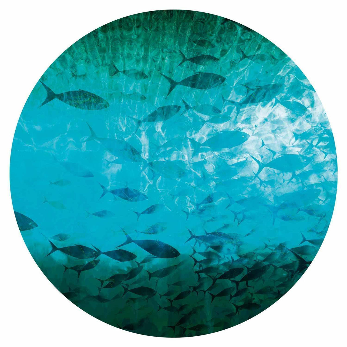 Runde Fototapete - A shoal of dark fish