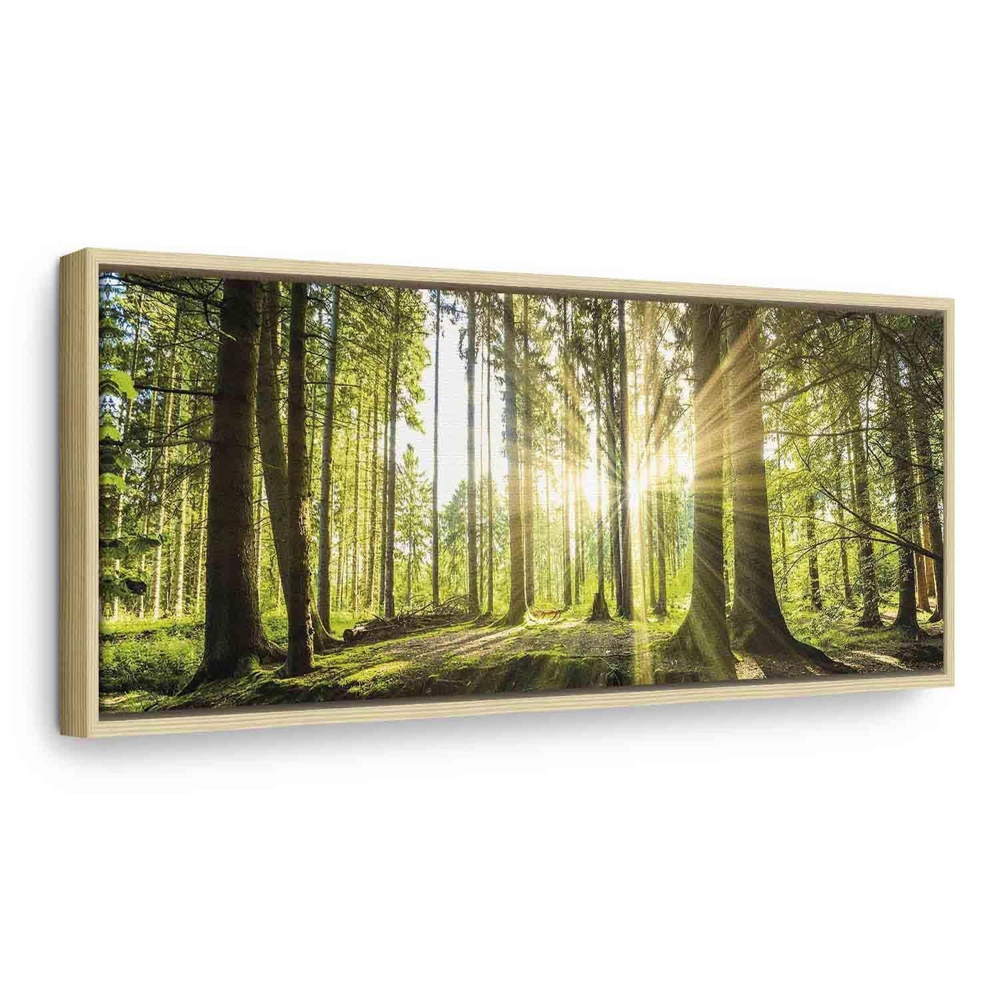 Leinwandbild „Tageslicht“ – Sanftes Sonnenlicht trifft Natur