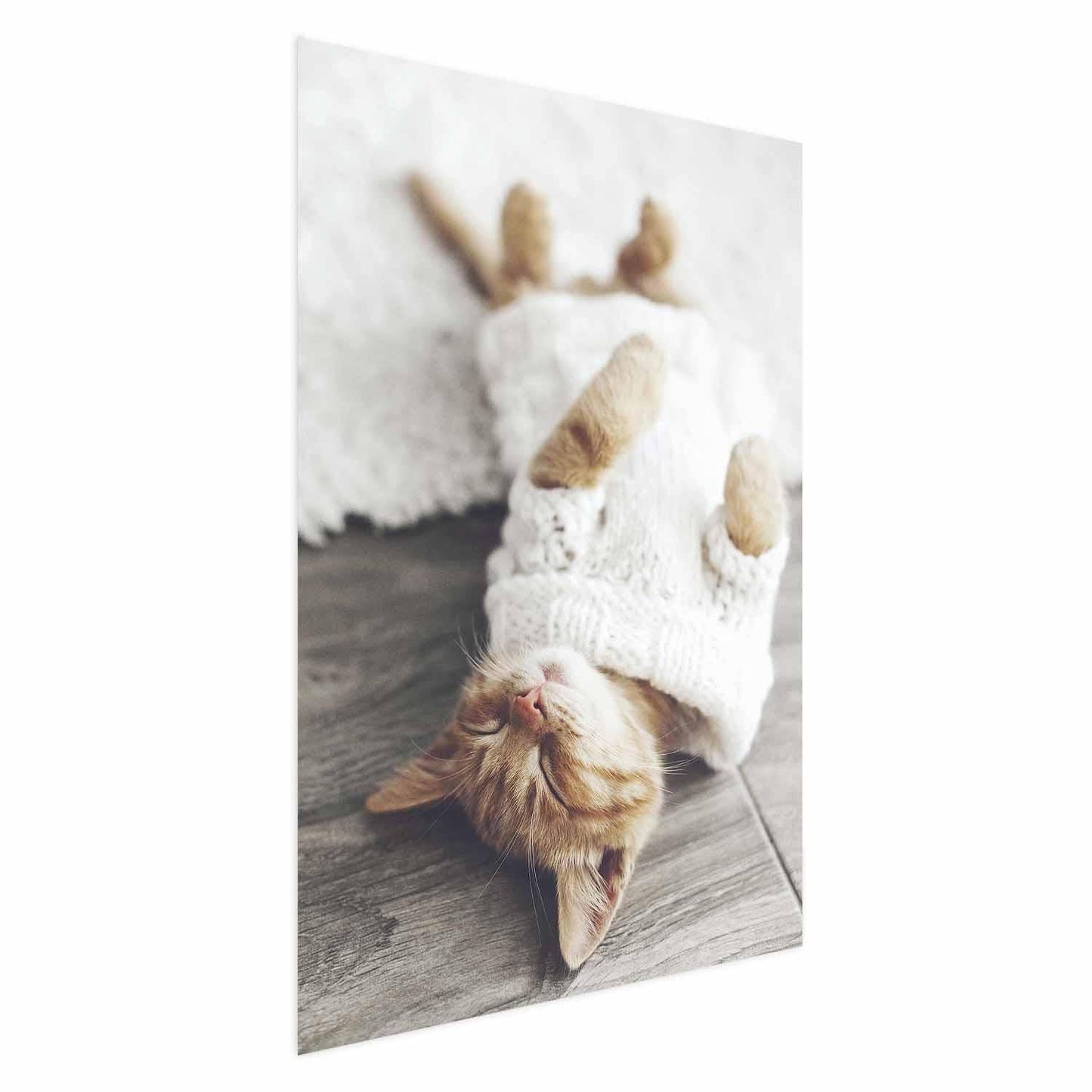 Poster - Lazy Cat Artgeist