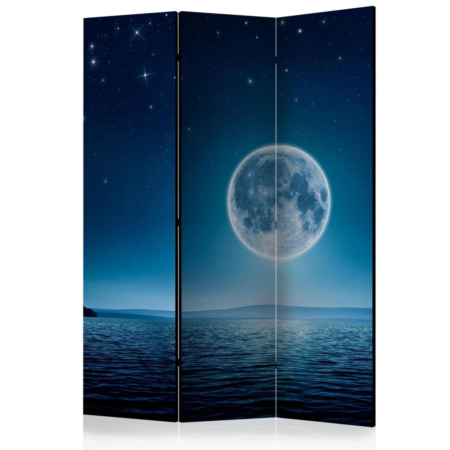 Paravent - Moonlit night Artgeist