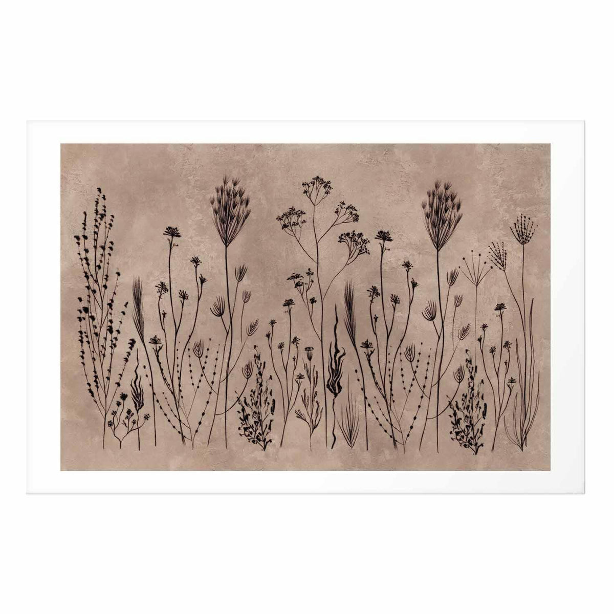 Poster - Field Flowers - black plants on a lime wash background