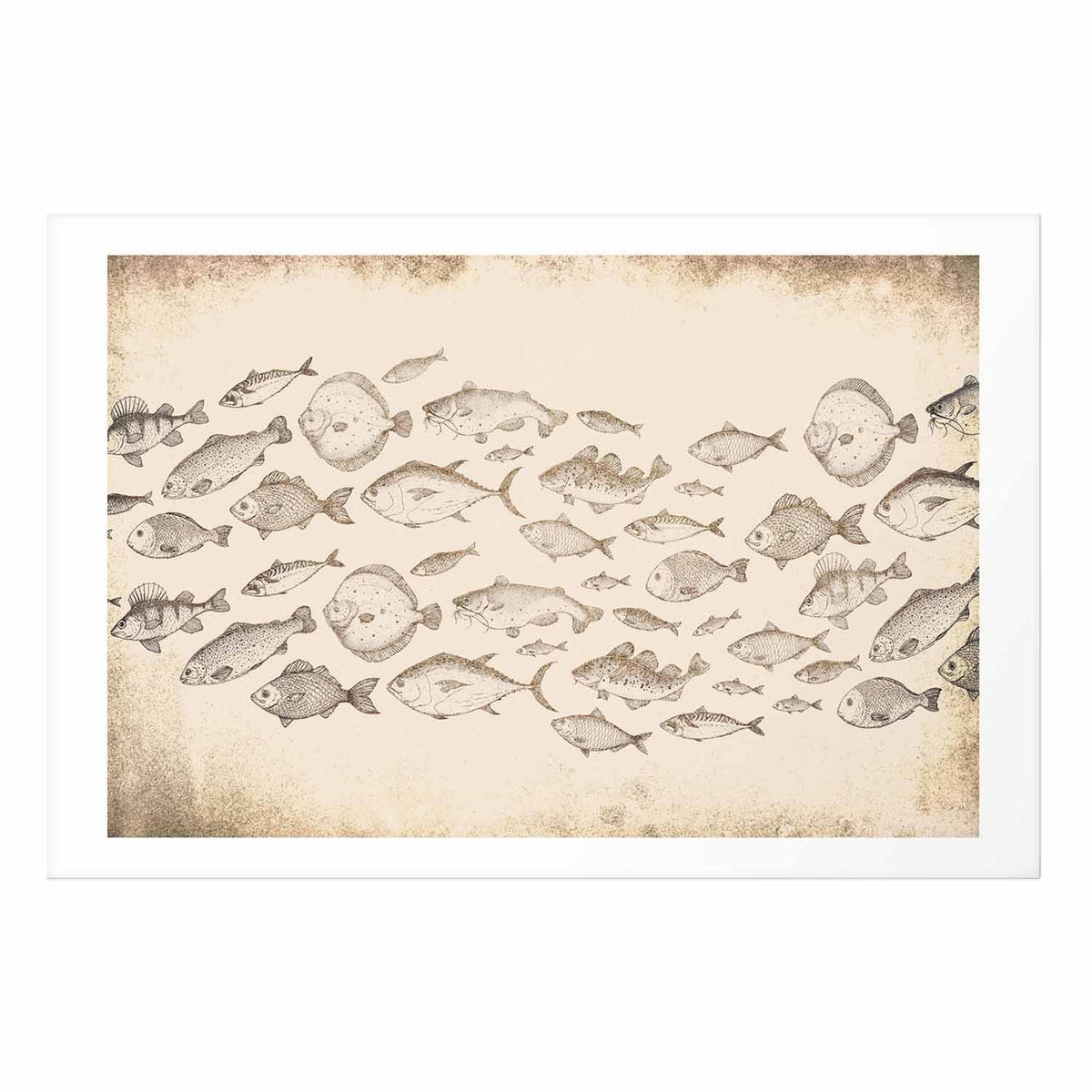 Poster - Subtle Little Fish