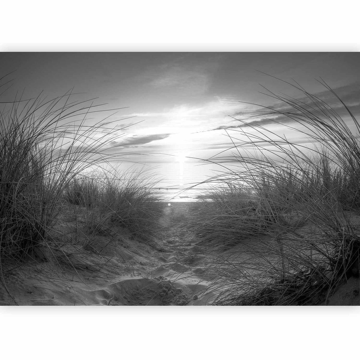 Fototapete - beach (black and white)