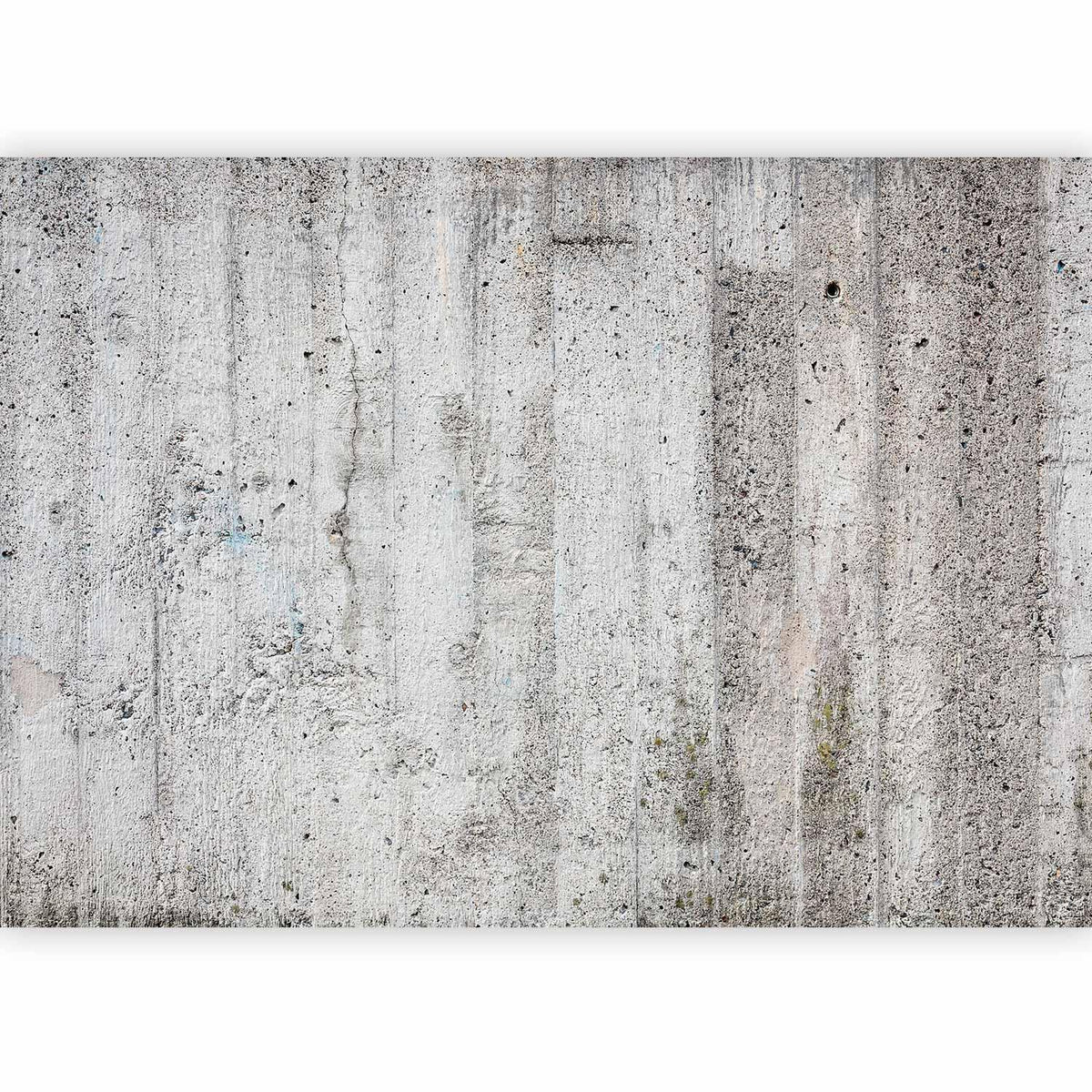 Fototapete - Grey Emperor