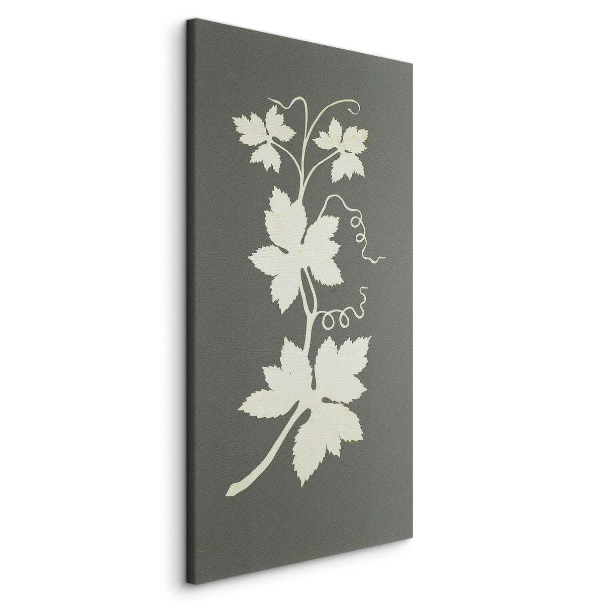 Leinwandbild - Philipp Otto Runge – Hop plant
