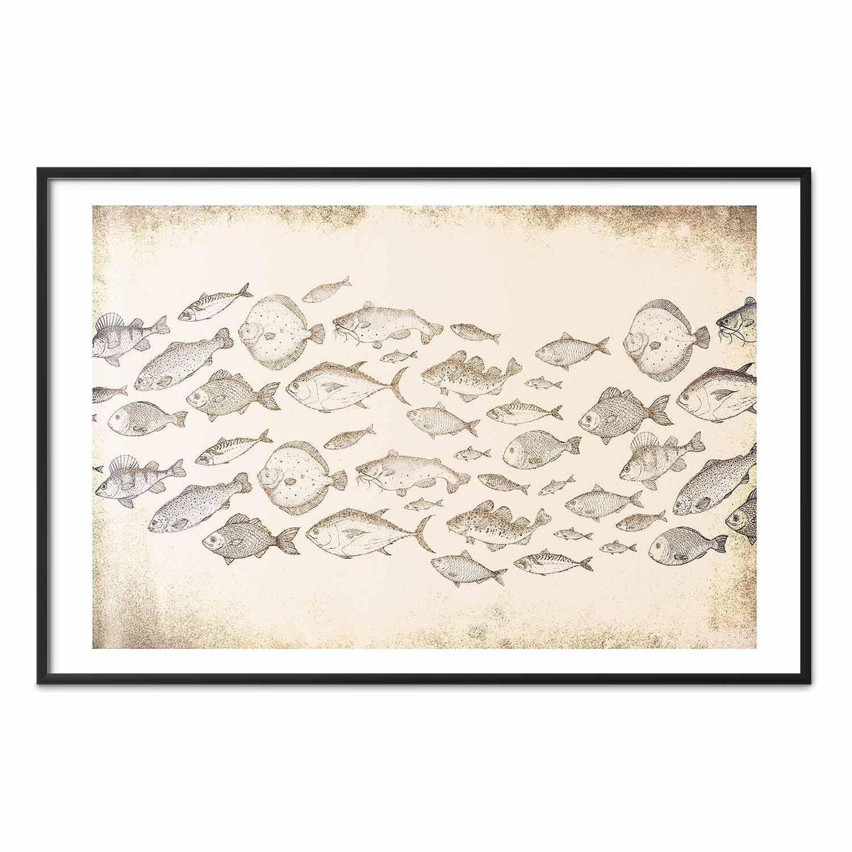 Poster - Subtle Little Fish