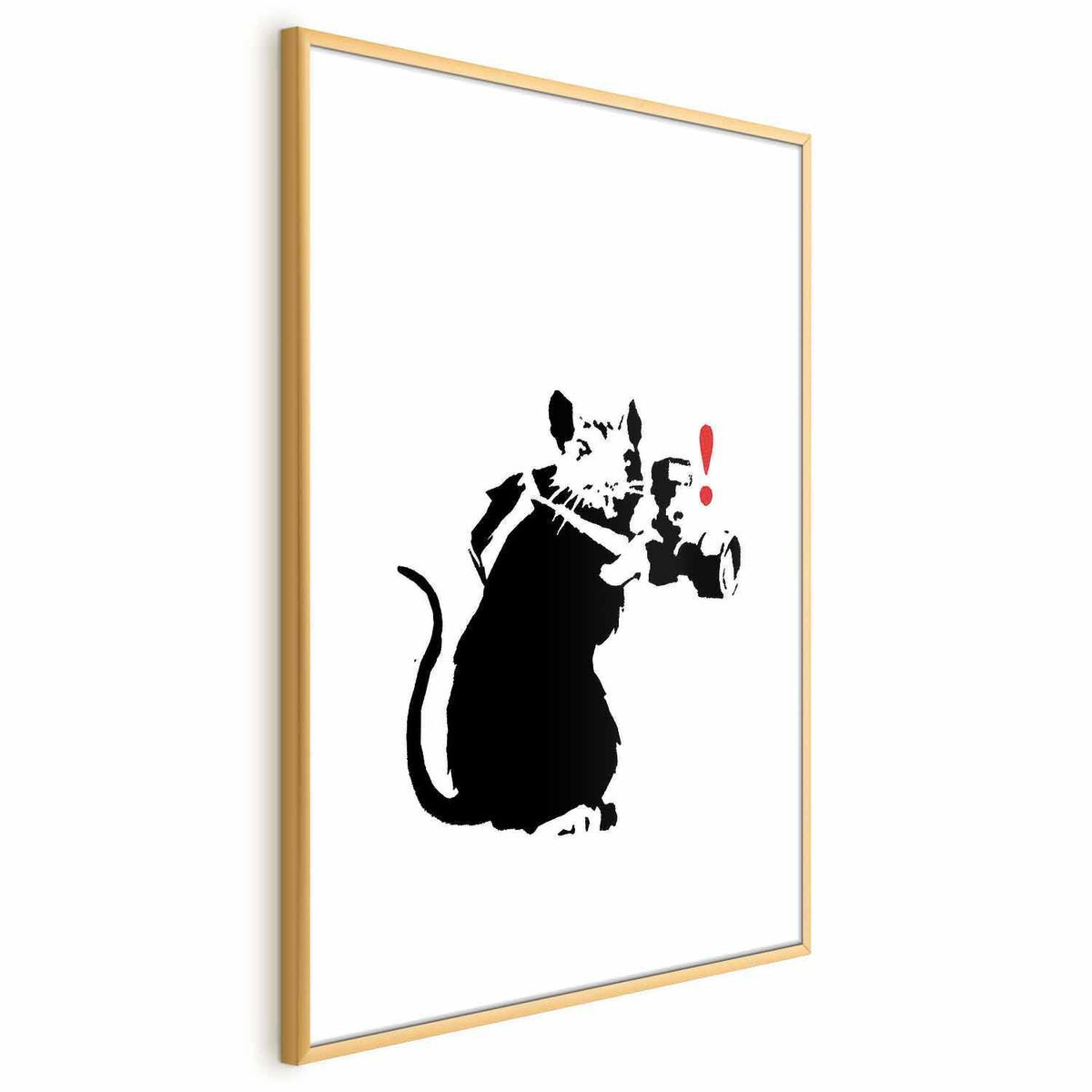 Poster - Photographer Rat