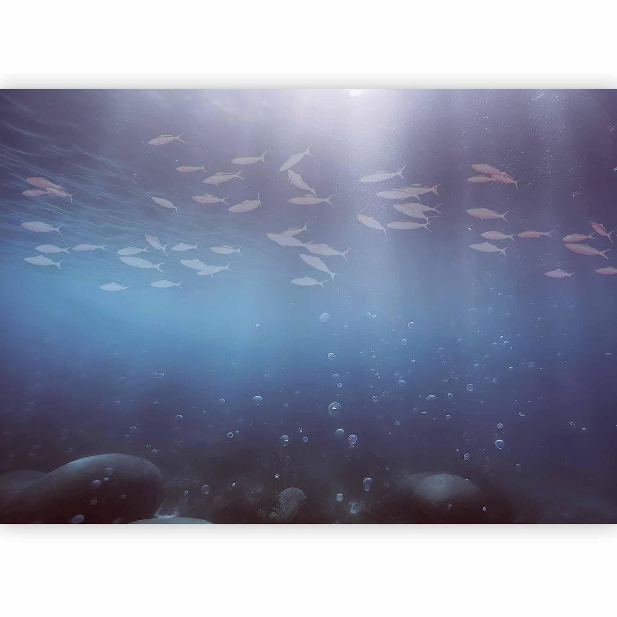 Fototapete Fische in der Tiefe – Ozean Unterwasserwelt in Blautönen