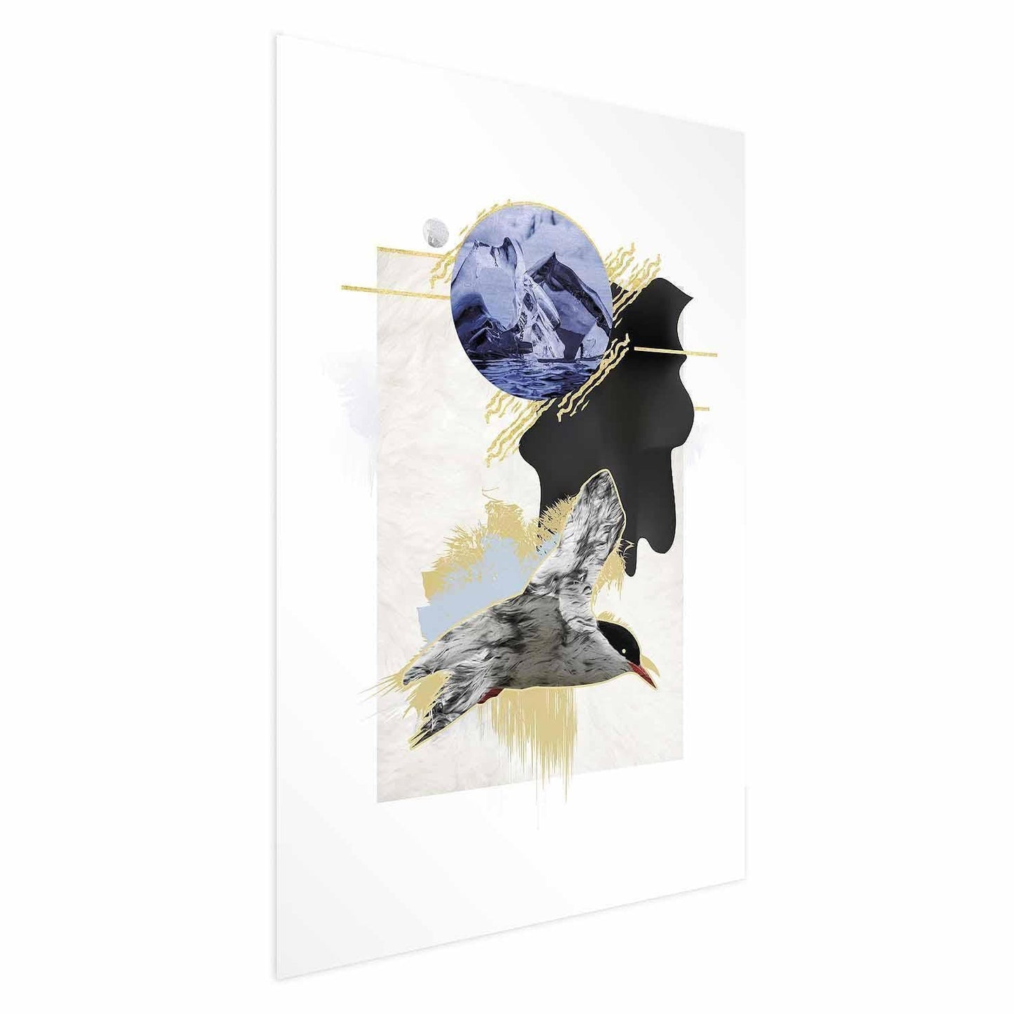 Poster - Antarctic Tern Artgeist
