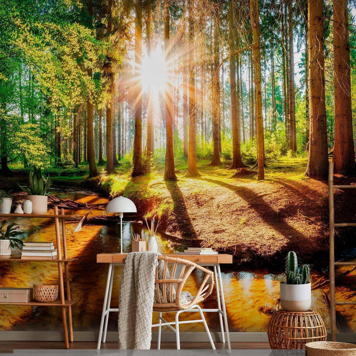 Fototapete - Marvelous Forest