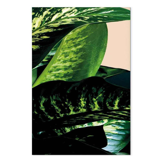 Leinwandbild - Dieffenbachia (1 Part) Vertical