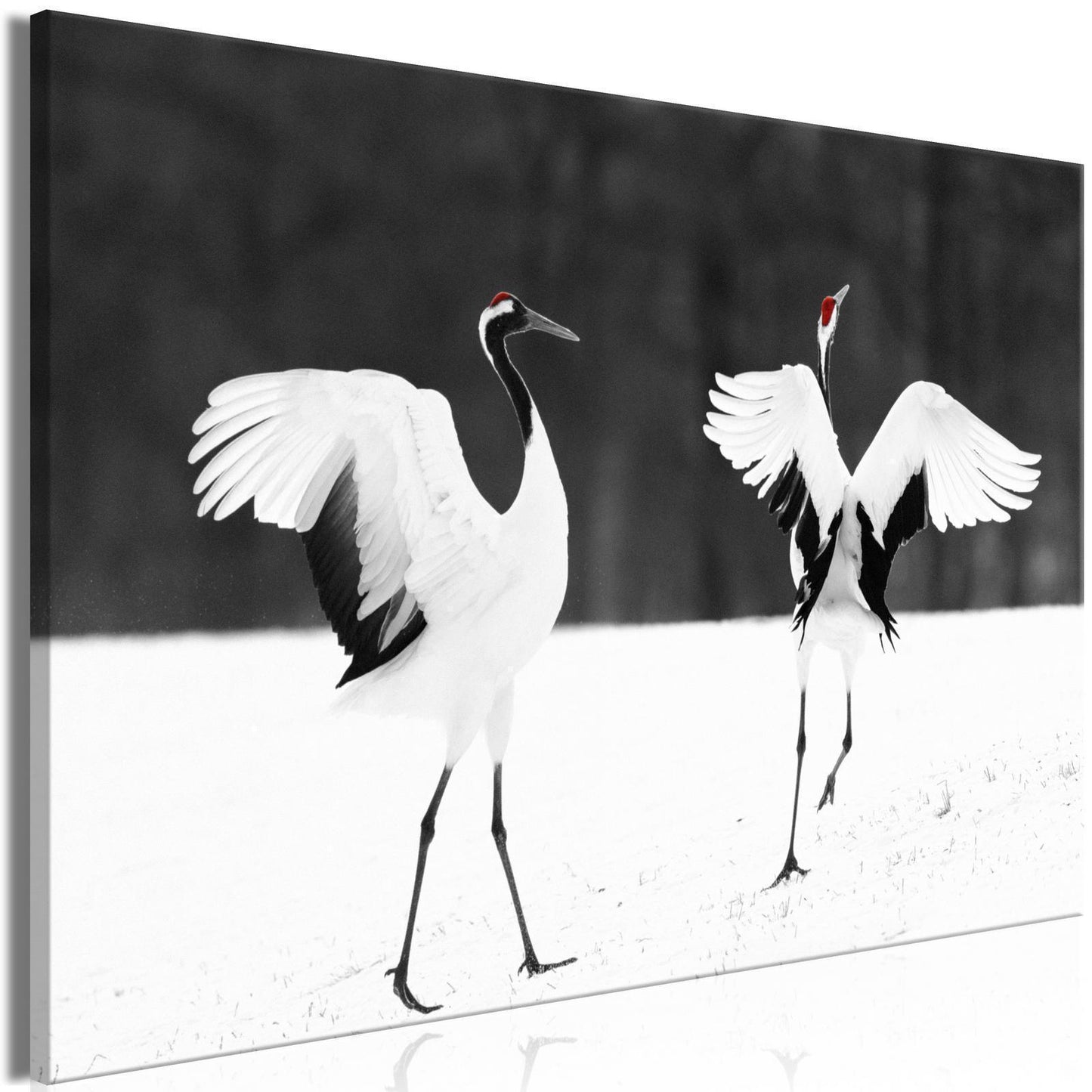 Leinwandbild - Dancing Cranes (1 Part) Wide Artgeist