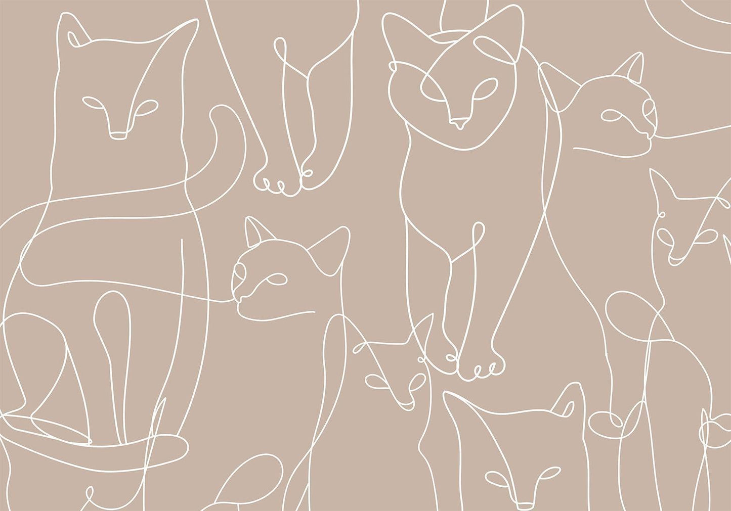 Fototapete - Cat lineart - minimalist sketches of white cats on beige background Artgeist