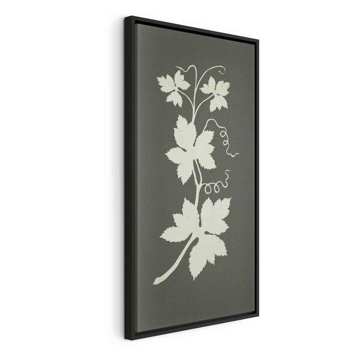 Leinwandbild - Philipp Otto Runge – Hop plant