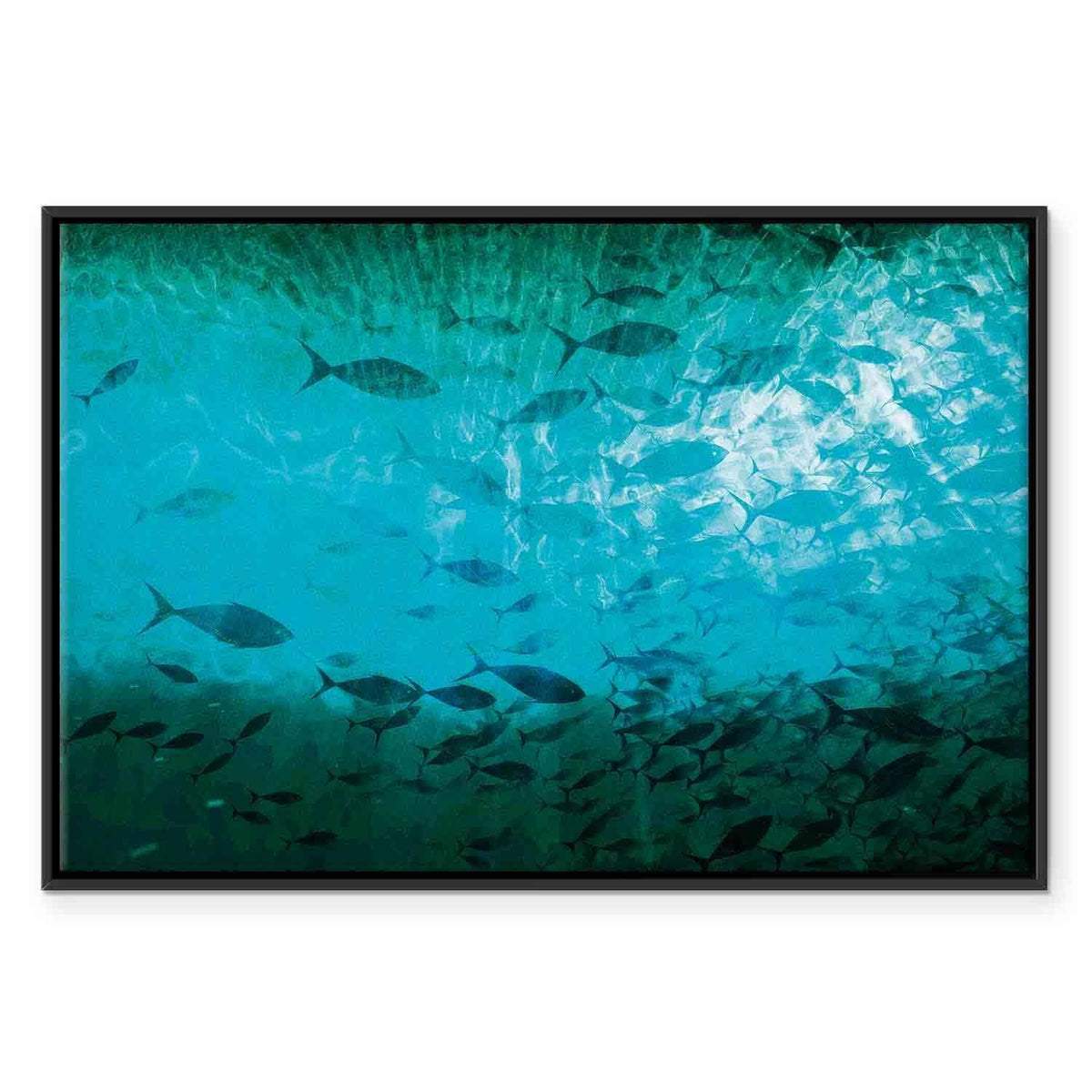 Leinwandbild - A shoal of dark fish