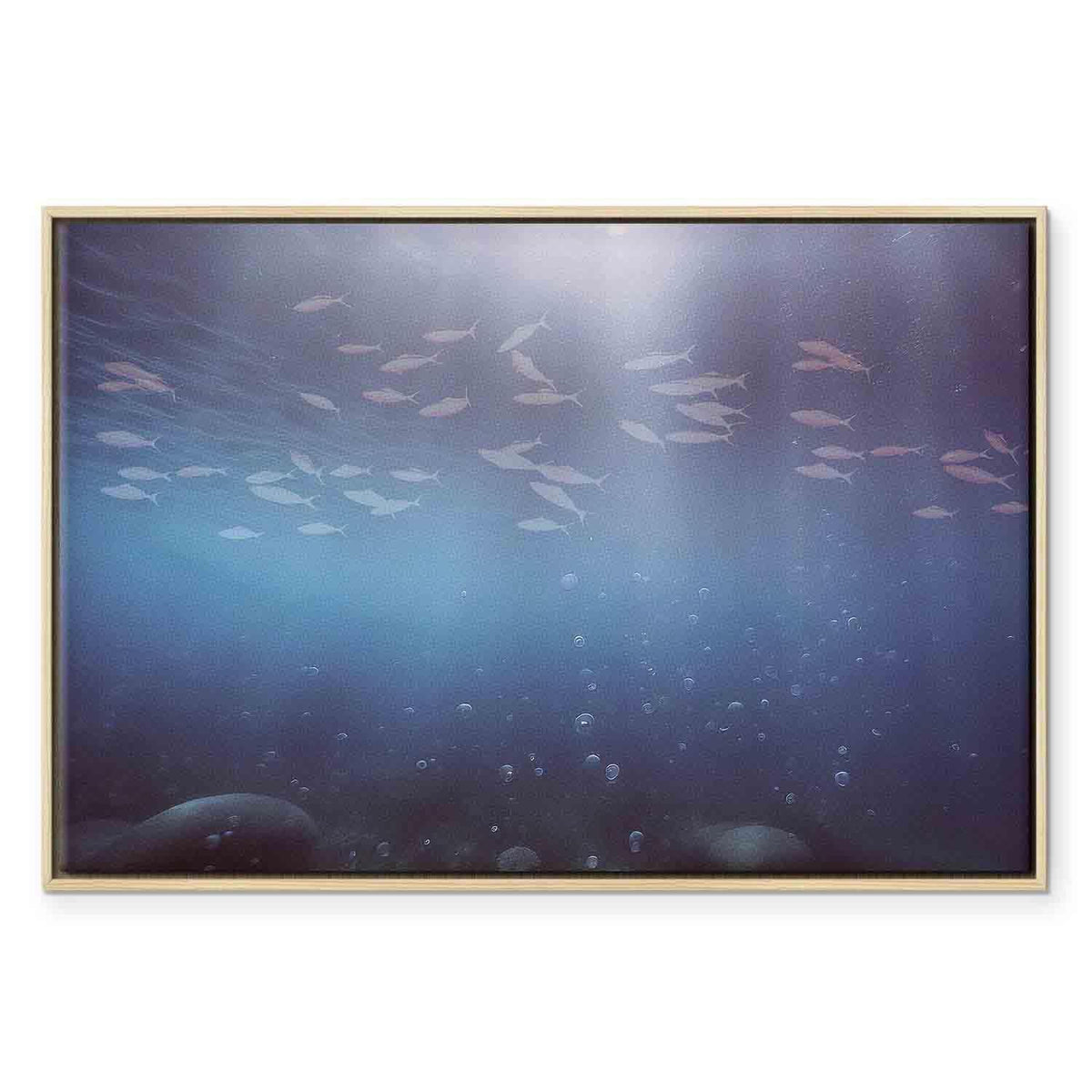 Leinwandbild - Fish in the depths