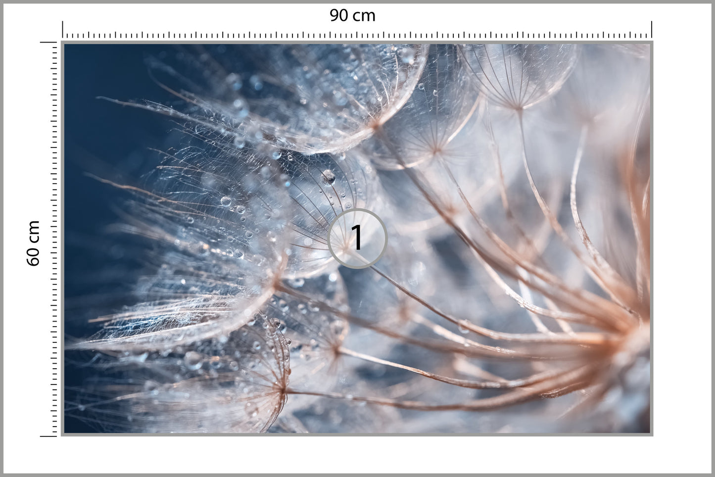 Fototapete Pusteblume mit Tautropfen - Sanfte Makro-Aufnahme