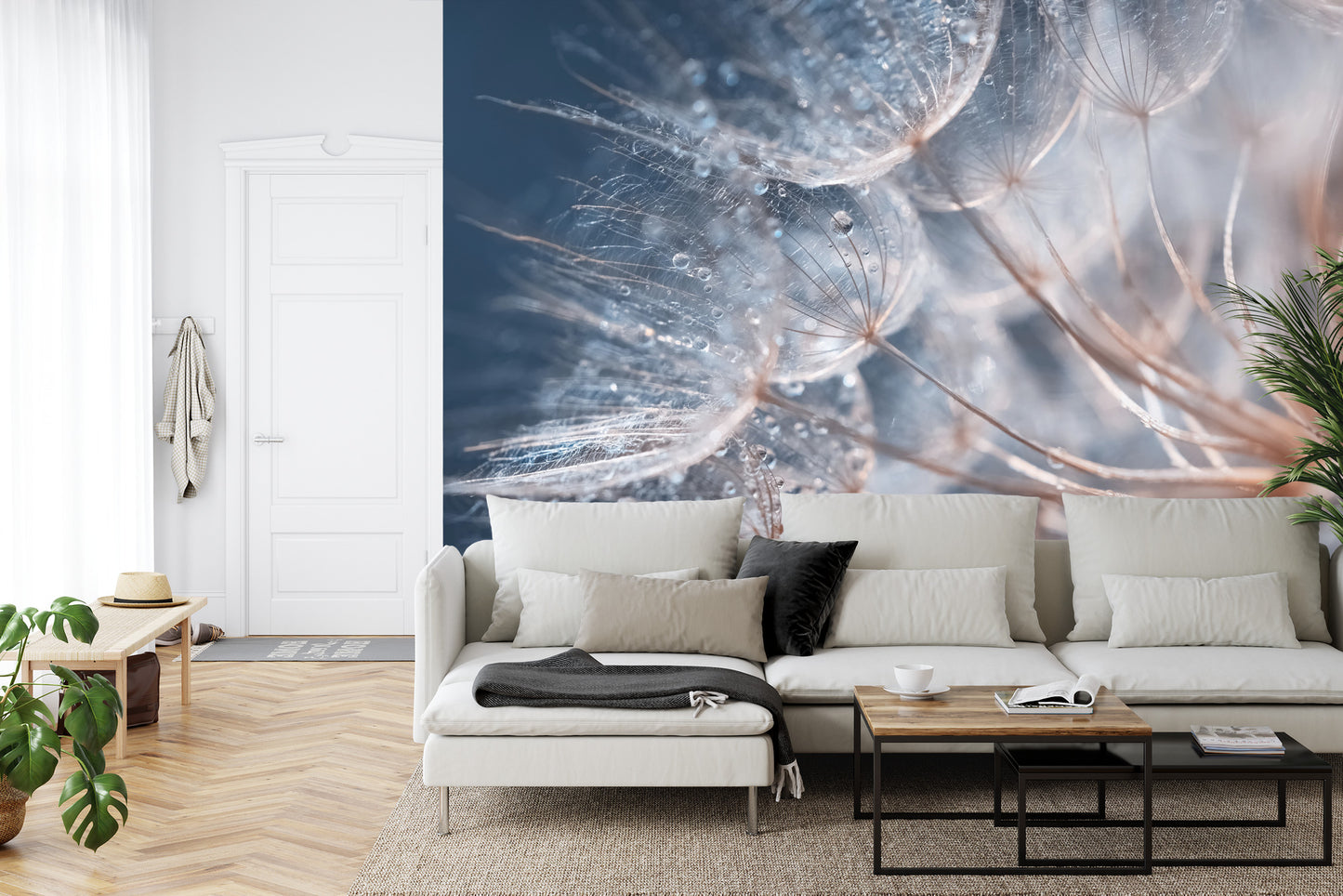 Fototapete Pusteblume mit Tautropfen - Sanfte Makro-Aufnahme