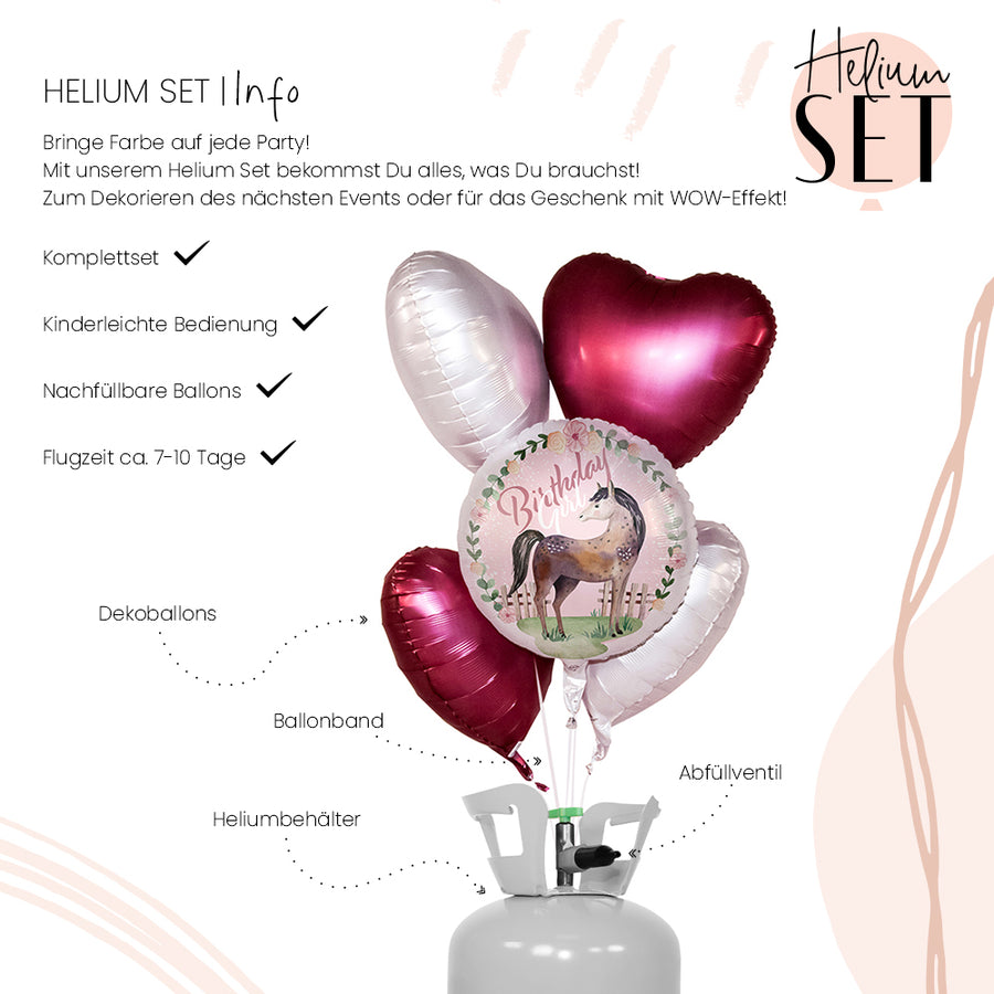 Helium Set - Charming Horse Birthday