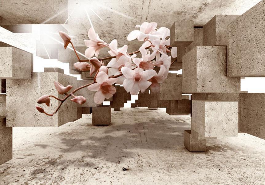 Fototapete Blütenträume – Sanfte Blumen für stilvolle Räume