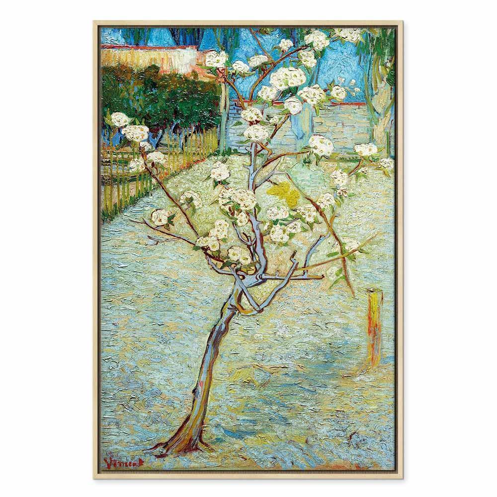 Leinwandbild - Vincent van Gogh – Blossoming Pear Tree