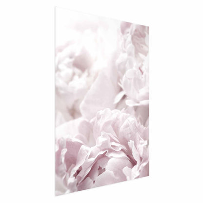 Poster - Fluffy Peonies