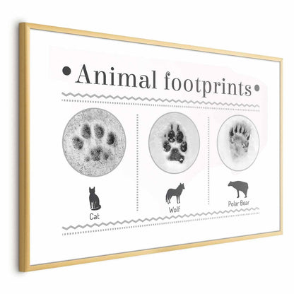Animal footprints poster with paw print illustrations and gold frame.