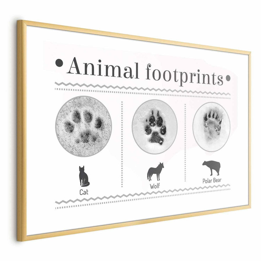 Animal footprints poster with paw print illustrations and gold frame.