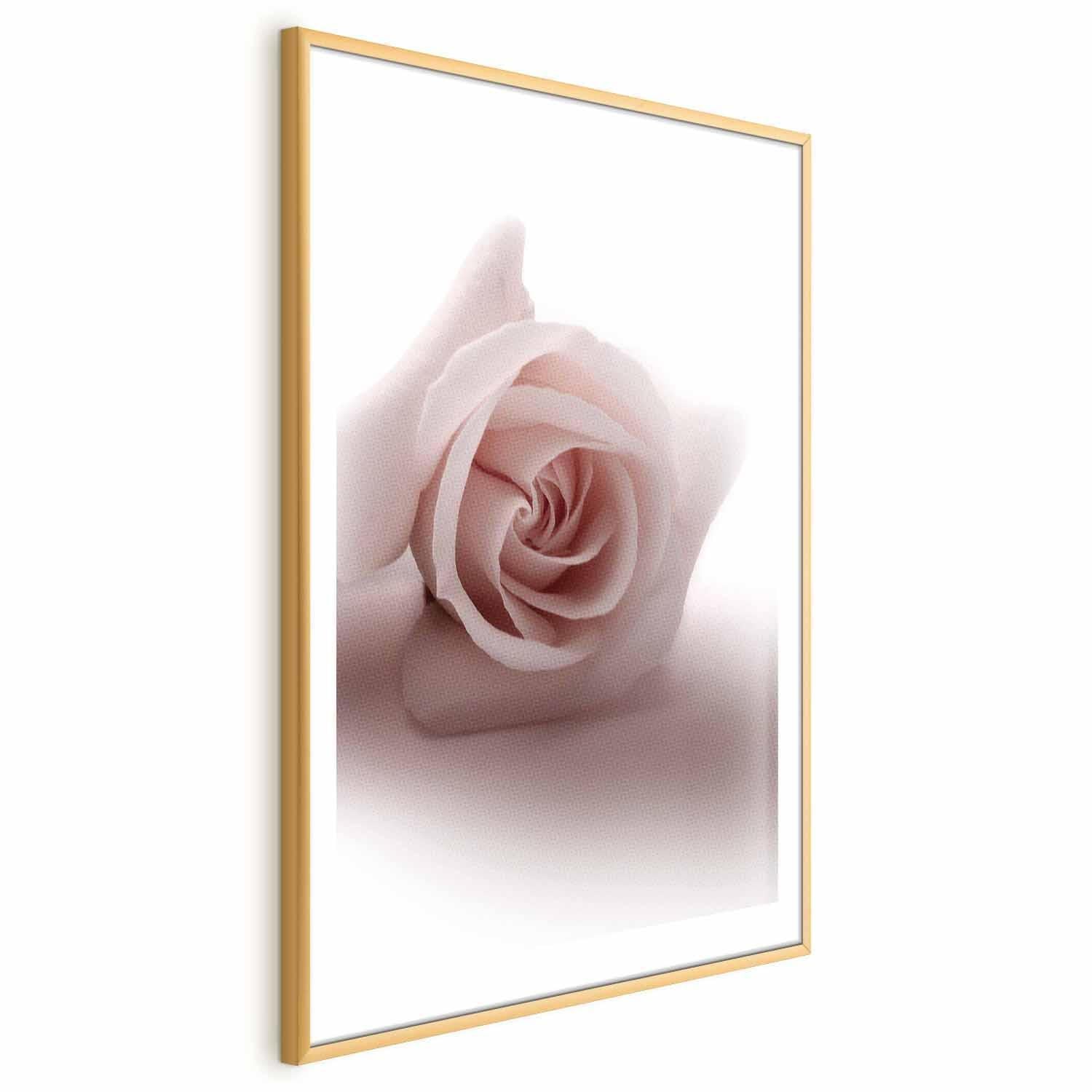Poster - Rose Shadow Artgeist