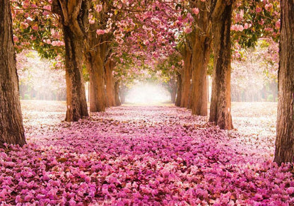Fototapete „Pinker Hain“ – Stilvolle Natur mit sanften Rosatönen sawelt.eu