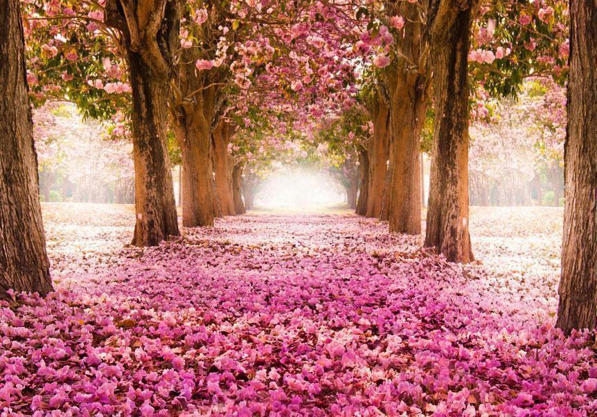 Fototapete „Pinker Hain“ – Stilvolle Natur mit sanften Rosatönen sawelt.eu