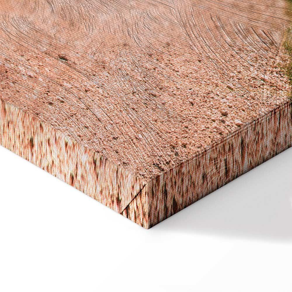 Leinwandbild - Italian cypresses (1 Part) Vertical