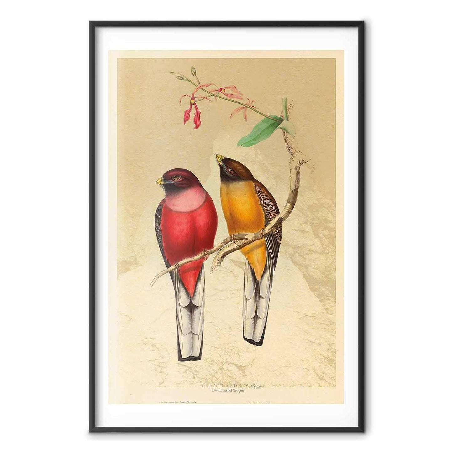 Poster - Birds on a Branch