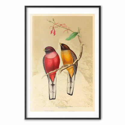 Poster - Birds on a Branch