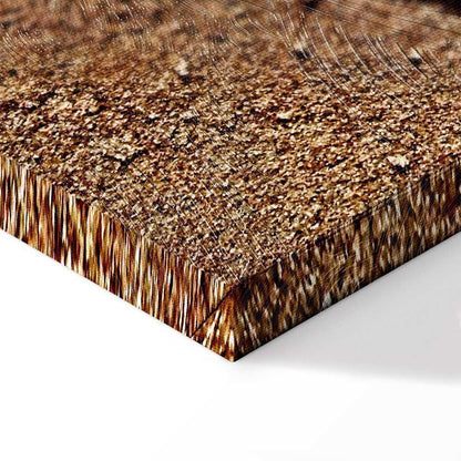 Leinwandbild - Feather on the Sand (1 Part) Vertical