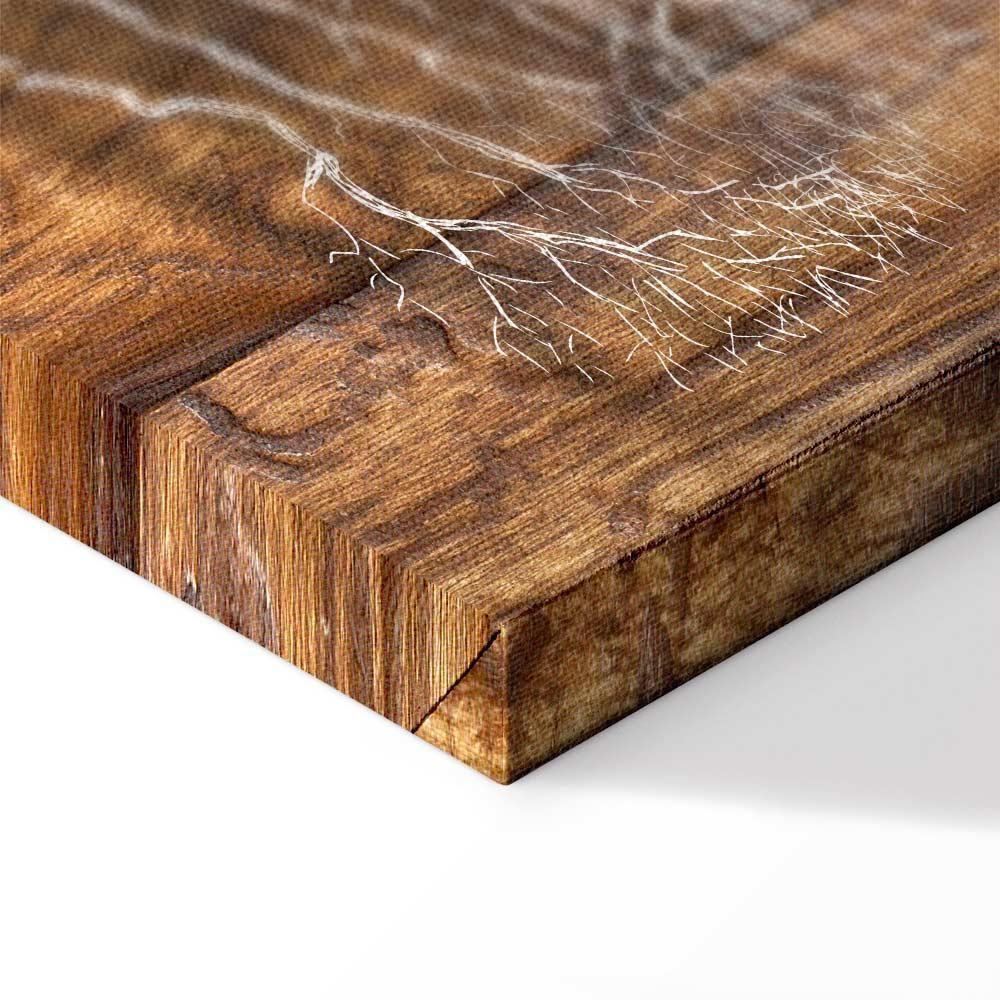 Leinwandbild - Tree Chronicle