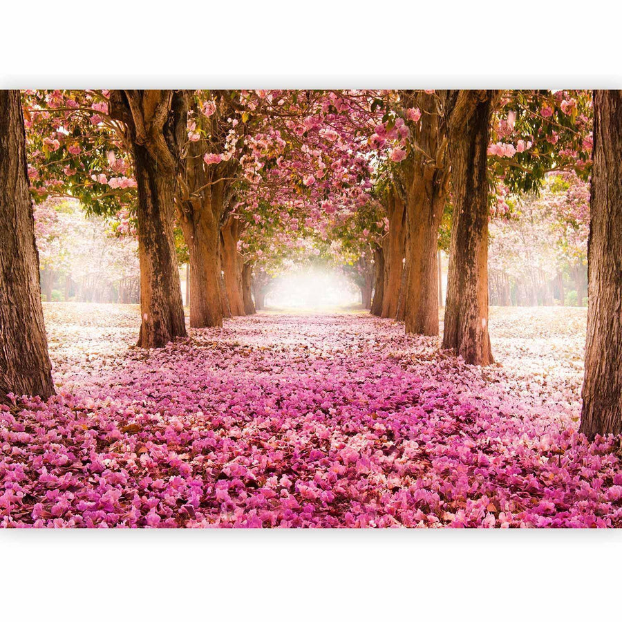 Fototapete „Pinker Hain“ – Stilvolle Natur mit sanften Rosatönen sawelt.eu