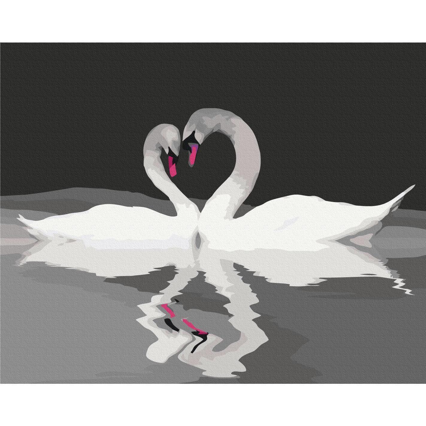 Malen nach Zahlen - Swan Couple