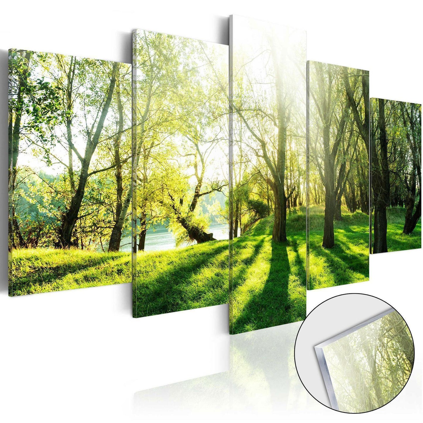 Acrylglasbild - Green Glade