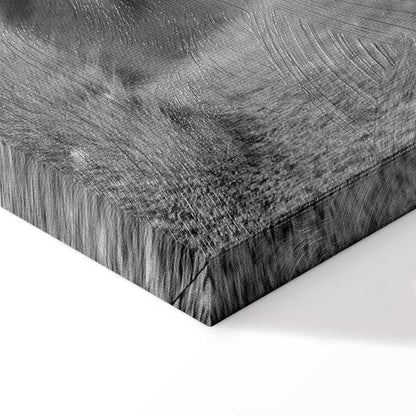 Leinwandbild - Lion's Love