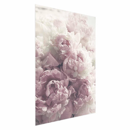 Poster Zarte Pfingstrosen – Blumenposter für stilvolle Wanddeko